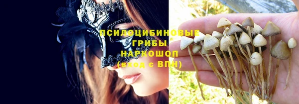 гидропоника Медвежьегорск