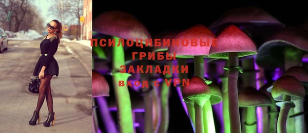 гидропоника Медвежьегорск