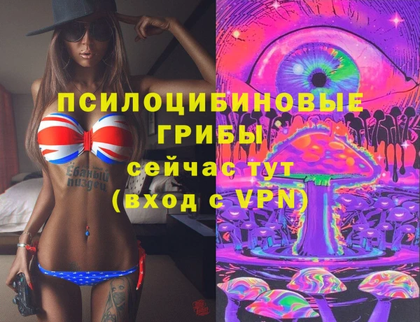 герыч Мегион