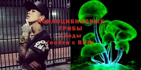 гидропоника Медвежьегорск