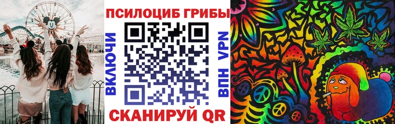 Псилоцибиновые грибы прущие грибы  Обь 